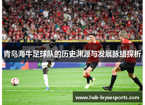 青岛海牛足球队的历史渊源与发展脉络探析 青岛海牛足球队的历史渊源与发展脉络探析